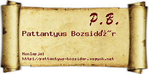 Pattantyus Bozsidár névjegykártya